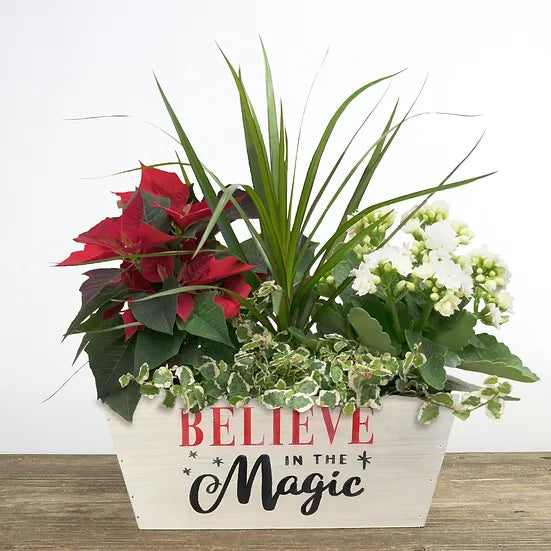 Believe in the Magic Planter