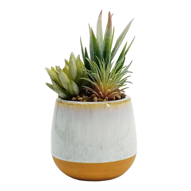 Ceramic Planter w/Succulent