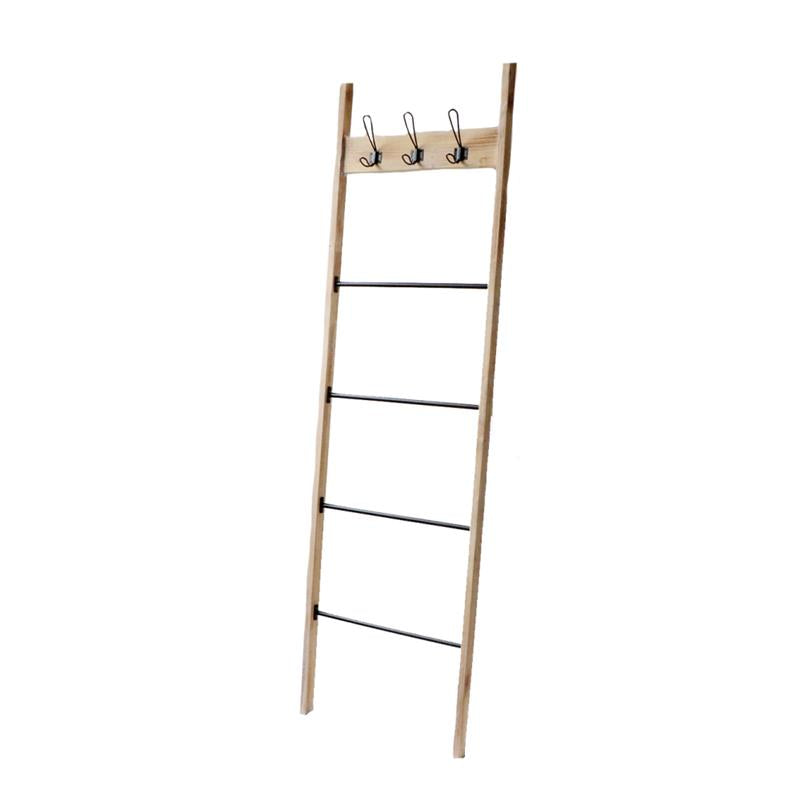 Ladder with Hooks